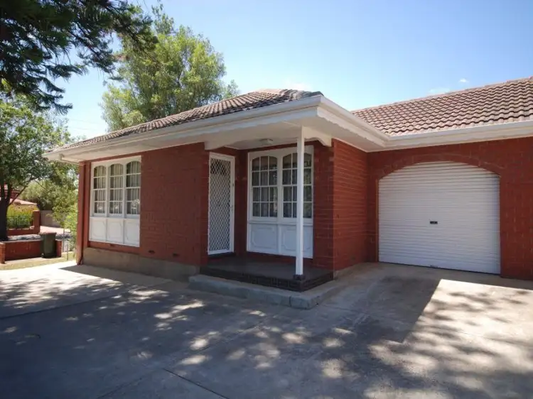 Address available on request