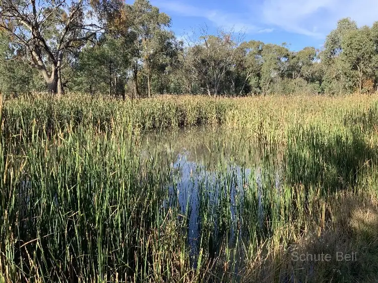 Second view of Homely rural property listing, 260 Dilladerry Rd, Tomingley NSW 2869