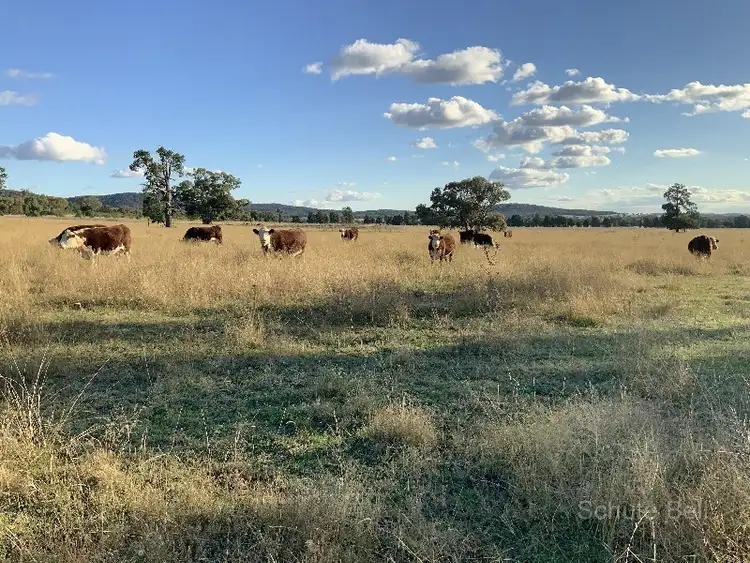 Sixth view of Homely rural property listing, 260 Dilladerry Rd, Tomingley NSW 2869