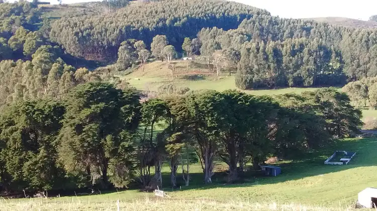 Fourth view of Homely rural property listing, 11 Johns Hill Road, Irishtown TAS 7330