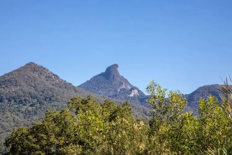 Fourth view of Homely rural property listing, 55 Braeside Drive, Uki NSW 2484