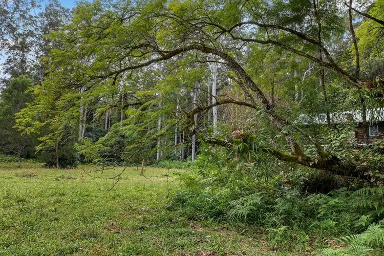 Fifth view of Homely house listing, 1167 Darkwood Road, Darkwood NSW 2454