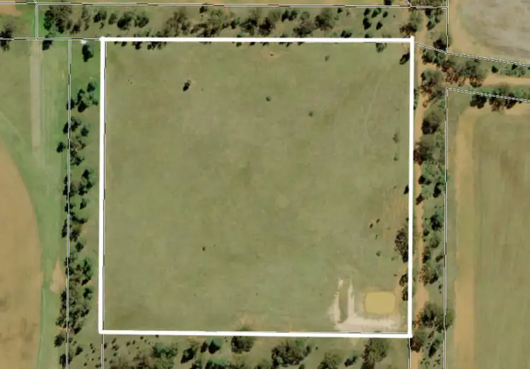 130 Tomingley Cemetery Rd, Tomingley NSW 2869