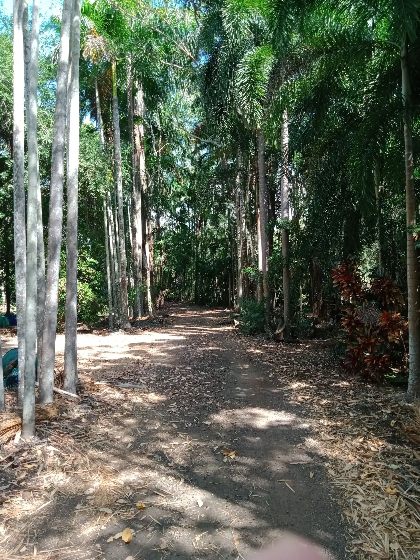 Main view of Homely rural property listing, 225 Bastin rd, Howard Springs NT 835