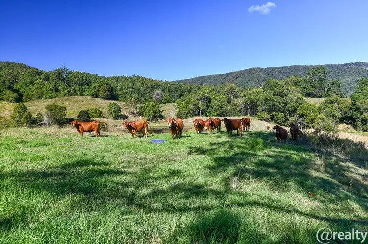 92 Gap Road, Cedar Pocket QLD 4570
