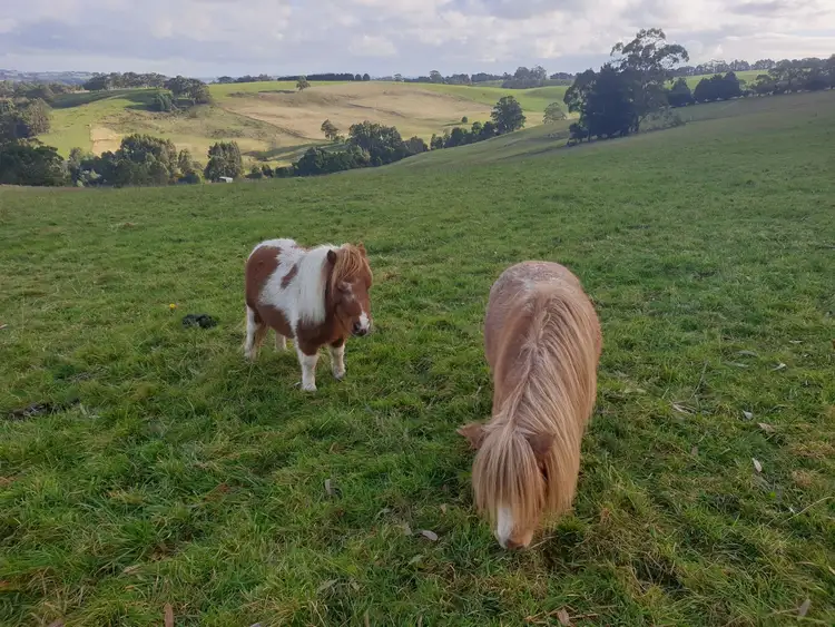 Fourth view of Homely land listing, 138 Weirs Road, Narracan VIC 3824