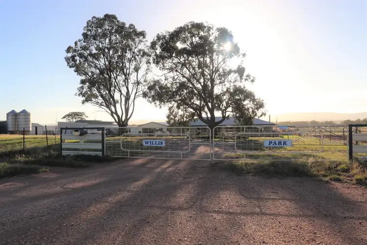 85 Rosser Road, Peak Hill NSW 2869