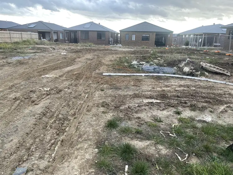 63 Riceflower Rise, Wallan VIC 3756