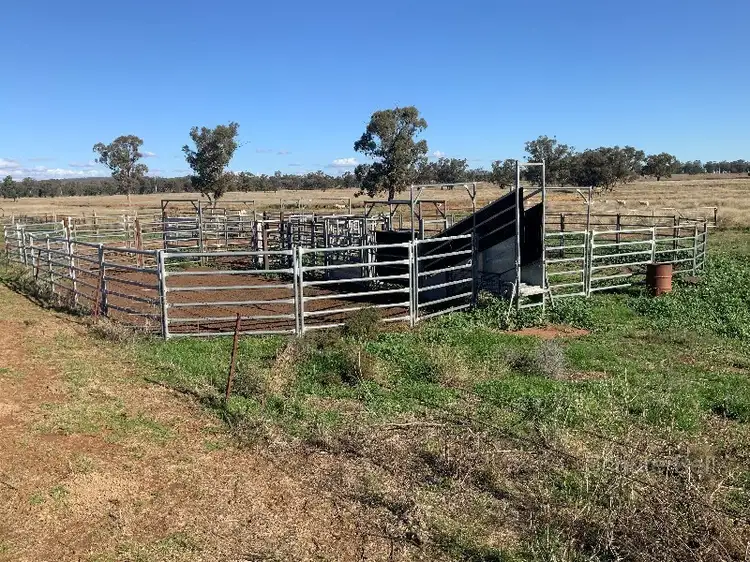Main view of Homely rural property listing, Glengarry 30 Brummagen Rd, Narromine NSW 2821