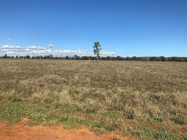 Fifth view of Homely rural property listing, Glengarry 30 Brummagen Rd, Narromine NSW 2821