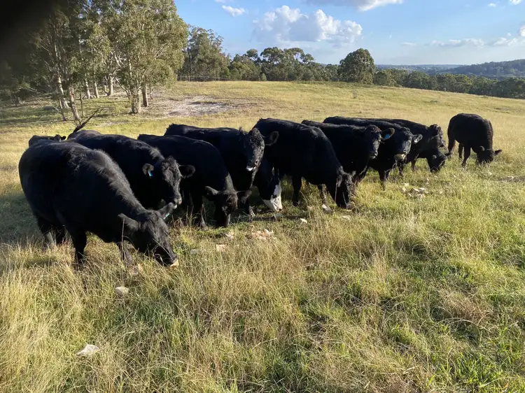 Second view of Homely rural property listing, 4856 Oallen Ford Road, Bungonia NSW 2580