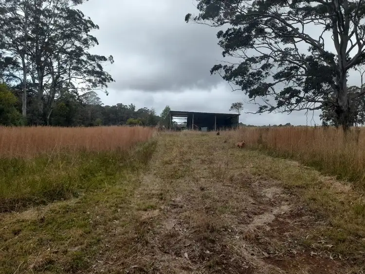 Seventh view of Homely rural property listing, 450 Cradle Creek Road, Lowanna NSW 2450