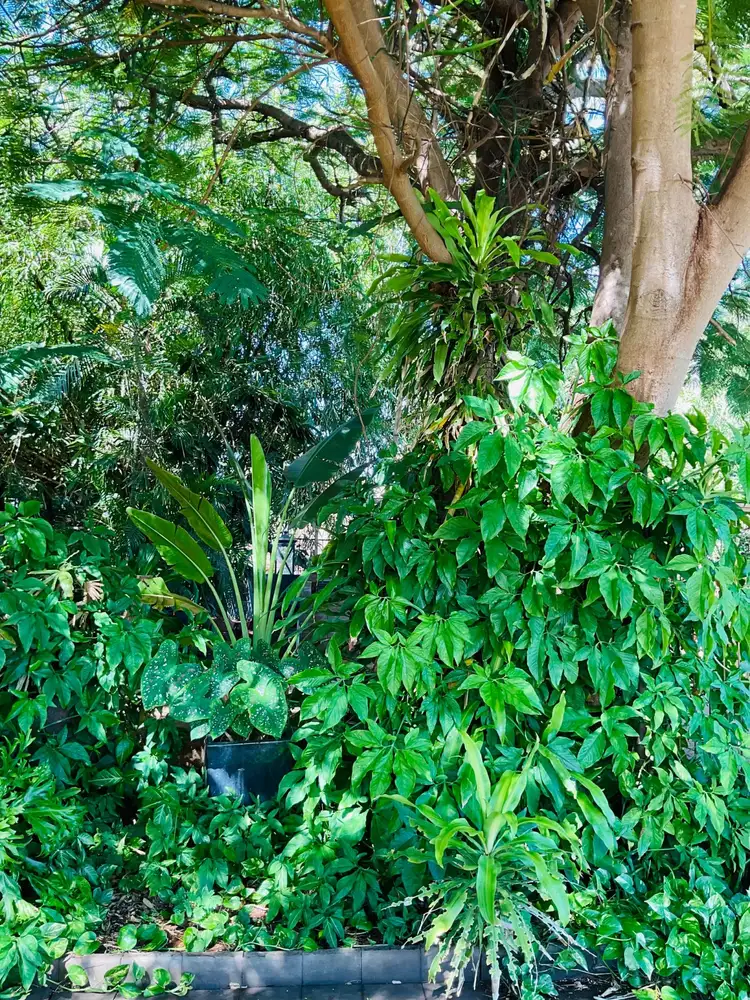 Fifth view of Homely house listing, 11 Yannarie Crescent, Dampier WA 6713