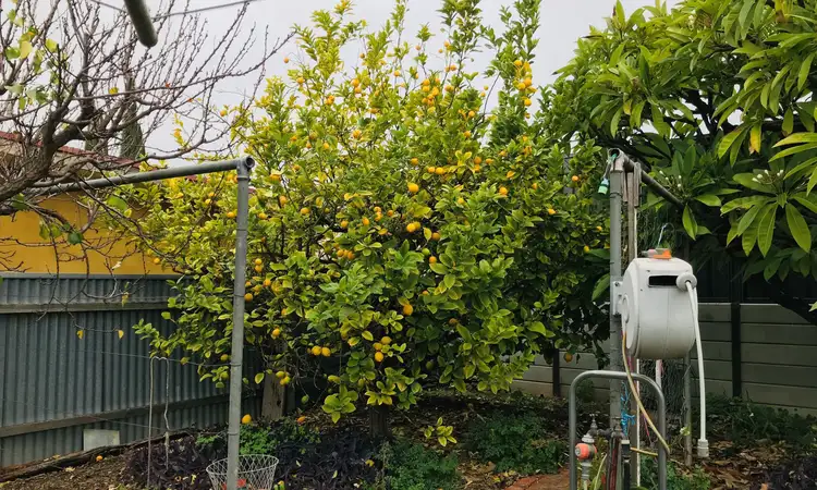 Sixth view of Homely house listing, 5 Munro Avenue, Sefton Park SA 5083