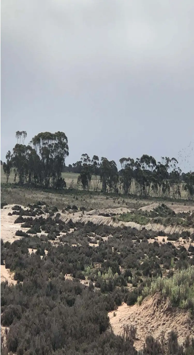 Fourth view of Homely rural property listing, Lot 562 Wongan Hills Rd, Koorda WA 6475