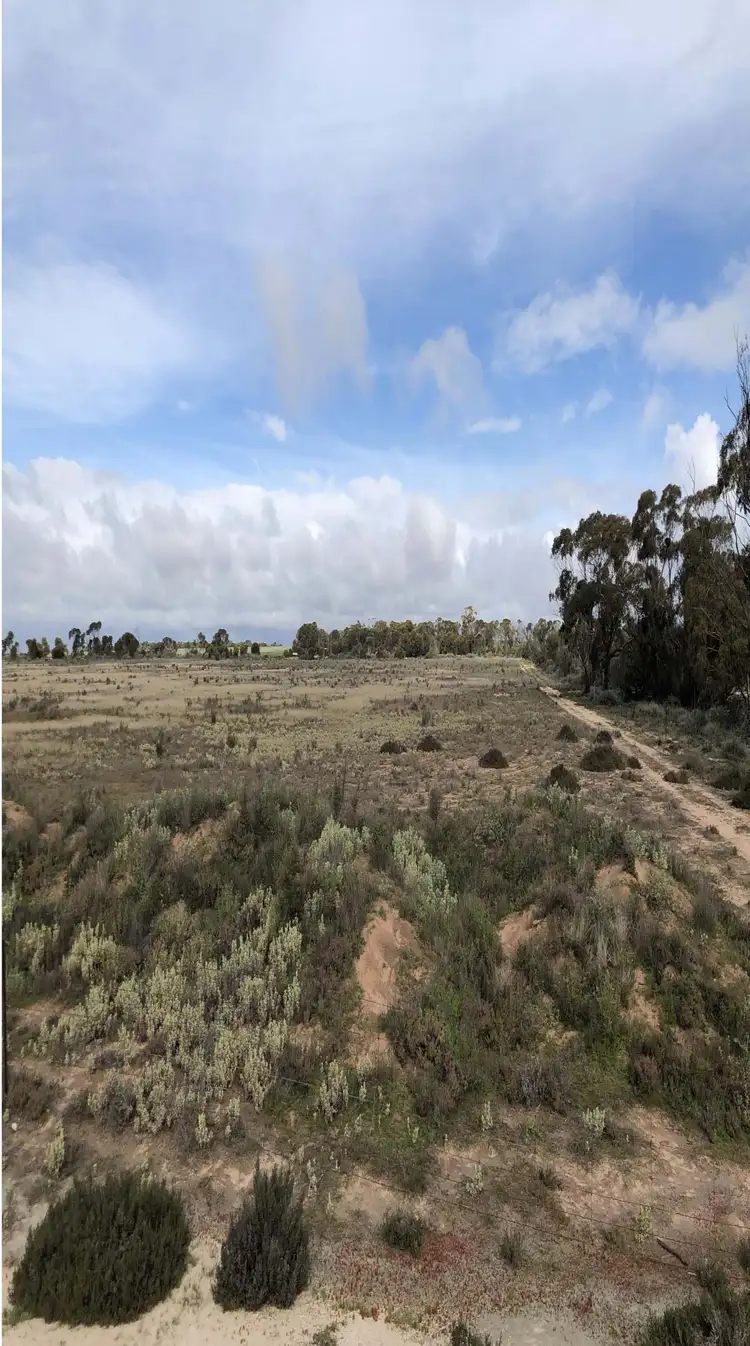 Fifth view of Homely rural property listing, Lot 562 Wongan Hills Rd, Koorda WA 6475