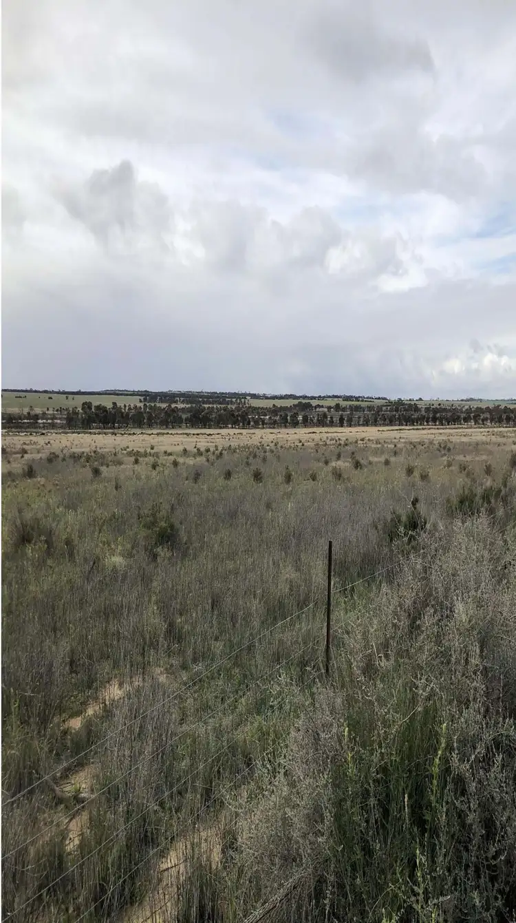 Seventh view of Homely rural property listing, Lot 562 Wongan Hills Rd, Koorda WA 6475