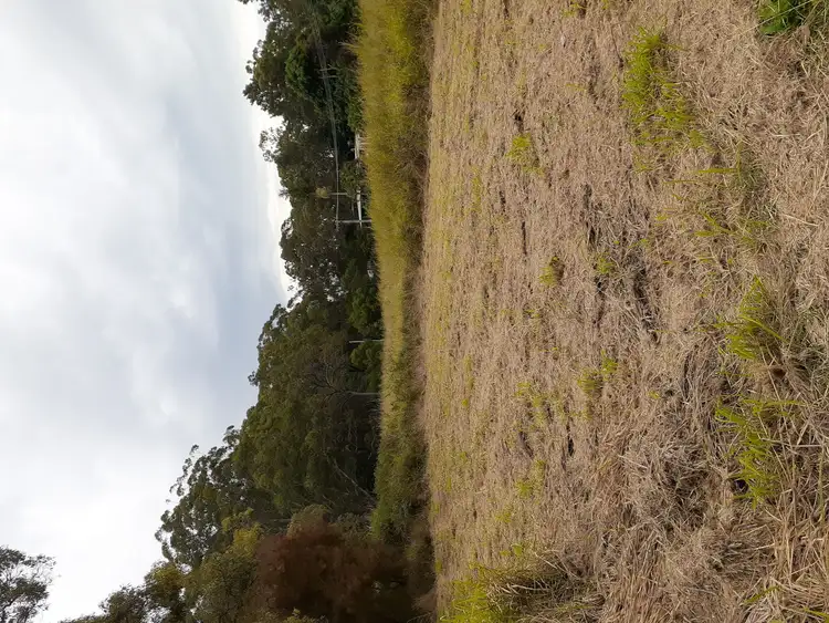 Third view of Homely land listing, 3 Magoa Road, Russell Island QLD 4184
