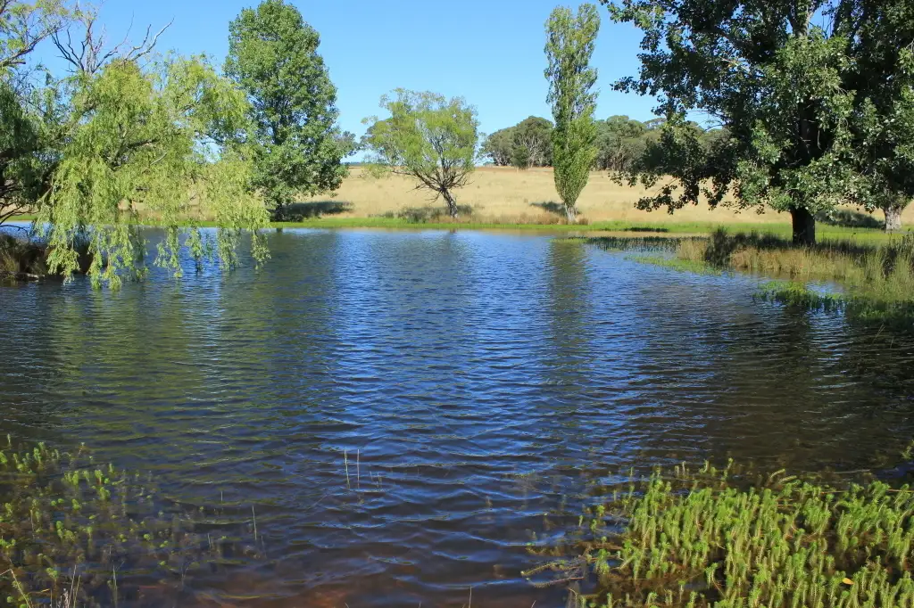 Main view of Homely rural property listing, 1570 Collector Rd, Currawang NSW 2580