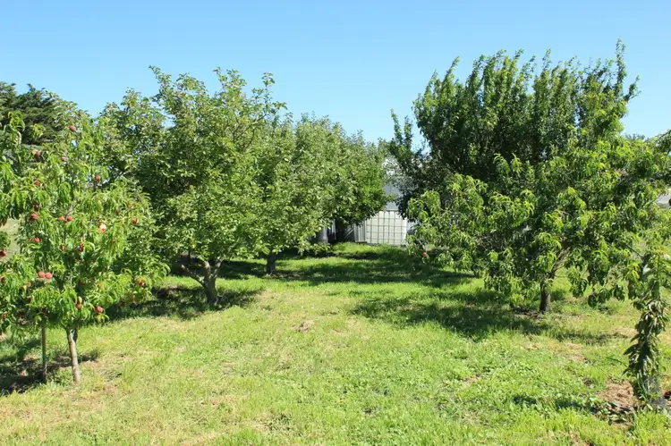 Fourth view of Homely rural property listing, 1570 Collector Rd, Currawang NSW 2580