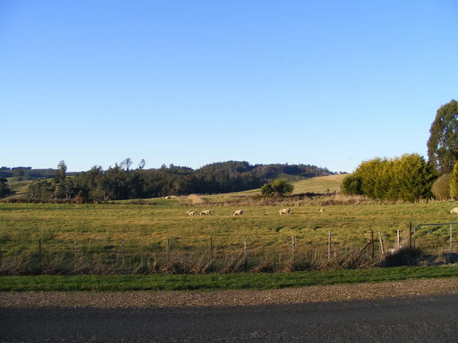 Main view of Homely land listing, Lot 1 Main Street, Wilmot TAS 7310
