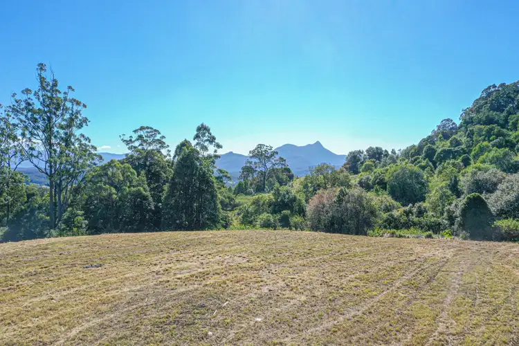 Second view of Homely rural property listing, 437 Mount Burrell Road, Mount Burrell NSW 2484