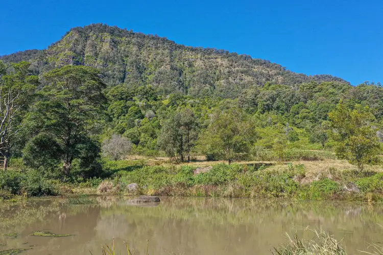 Third view of Homely rural property listing, 437 Mount Burrell Road, Mount Burrell NSW 2484