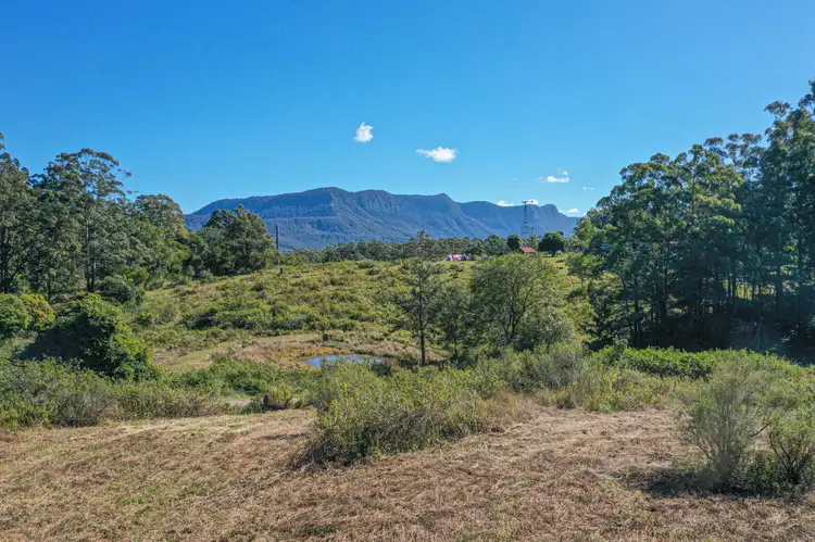 Fifth view of Homely rural property listing, 437 Mount Burrell Road, Mount Burrell NSW 2484
