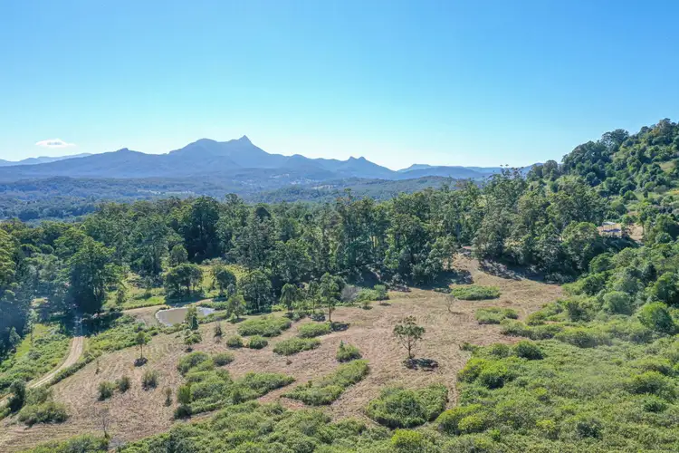 Seventh view of Homely rural property listing, 437 Mount Burrell Road, Mount Burrell NSW 2484