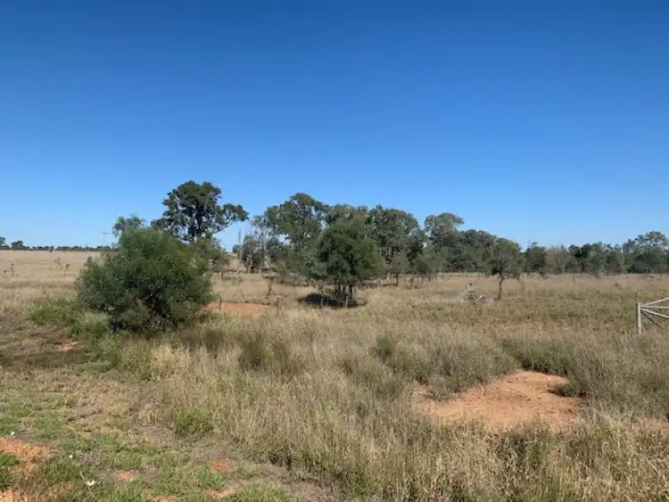 Second view of Homely rural property listing, Lot 1 Lurline Road, Comet QLD 4702