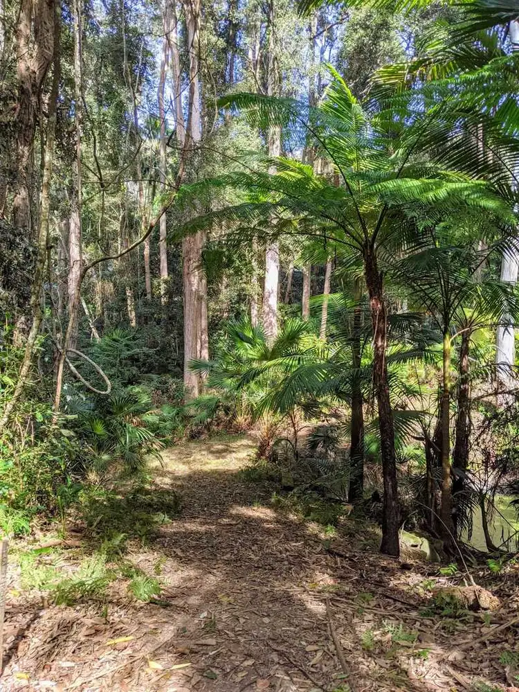 Fifth view of Homely house listing, 19 Valerie Close, Fountaindale NSW 2258