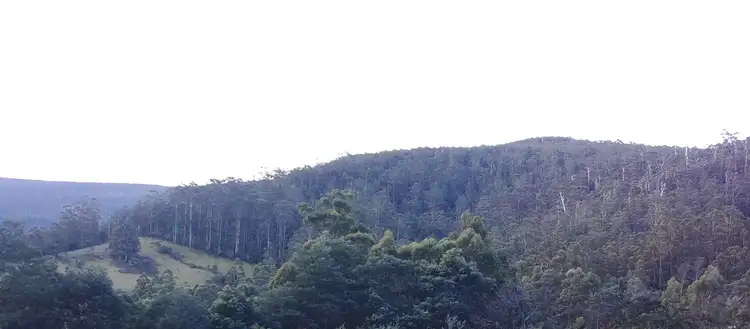 Fifth view of Homely land listing, Lot 3, 1360 Huon Road, Neika TAS 7054