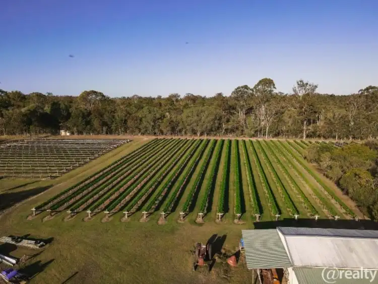 Sixth view of Homely rural property listing, 197 Stephan Road, Goomboorian QLD 4570