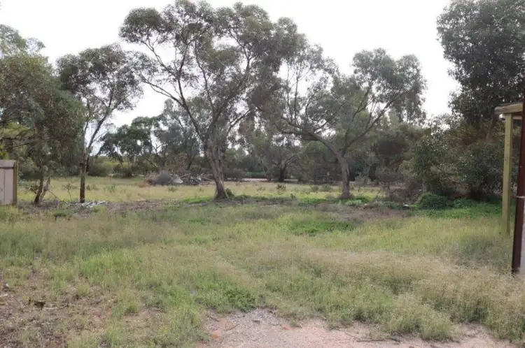 31 Old Blanchetown Rd, Waikerie SA 5330