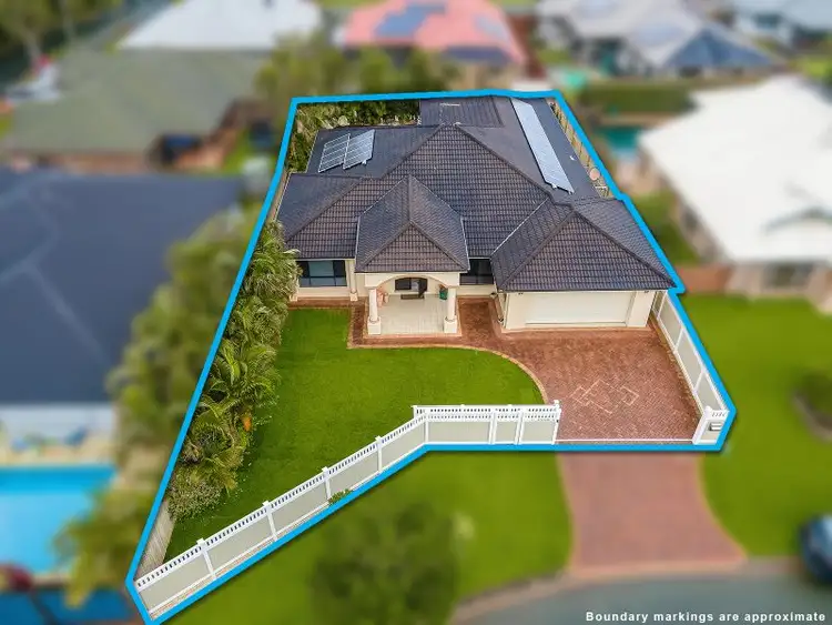 Second view of Homely house listing, 17 Apple Gum Crescent, Thornlands QLD 4164