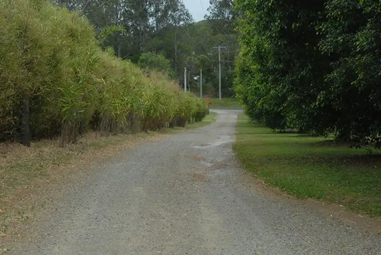 Second view of Homely rural property listing, 715 Wilsons Pocket Road, Wilsons Pocket QLD 4570