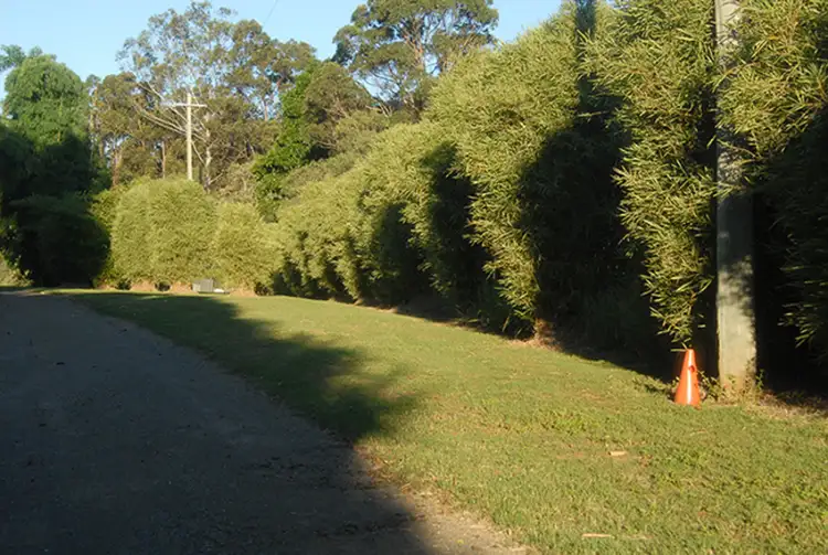 Third view of Homely rural property listing, 715 Wilsons Pocket Road, Wilsons Pocket QLD 4570