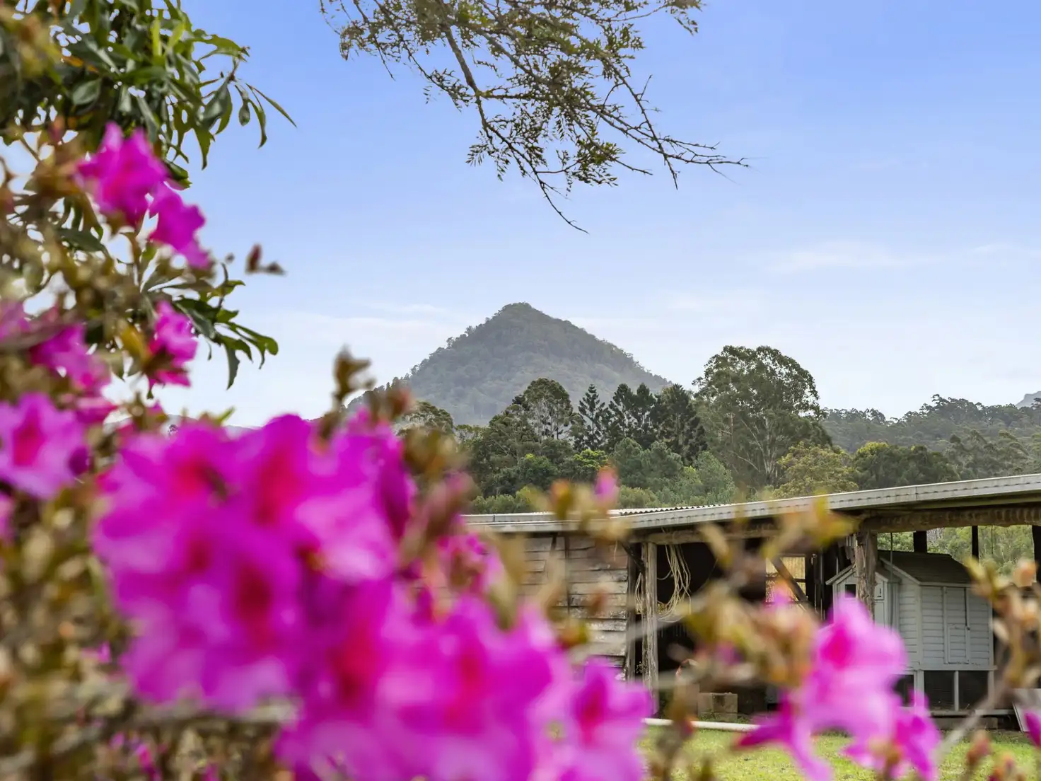 Main view of Homely rural property listing, 101 Zara Road, Zara NSW 2484