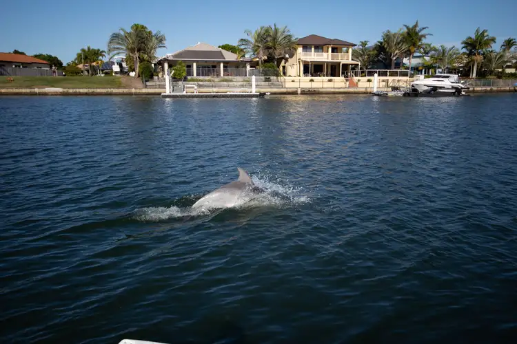 Second view of Homely house listing, 100 Endeavour Drive, Banksia Beach QLD 4507