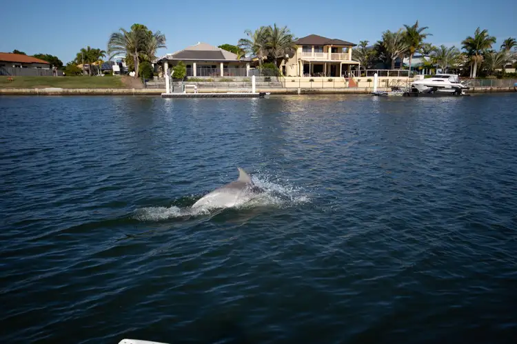 Fourth view of Homely house listing, 100 Endeavour Drive, Banksia Beach QLD 4507
