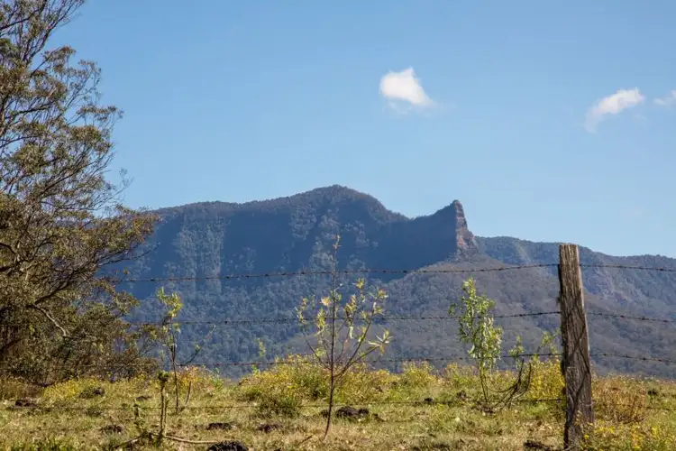 Second view of Homely rural property listing, 1283 Byrrill Creek Road, Brays Creek NSW 2484