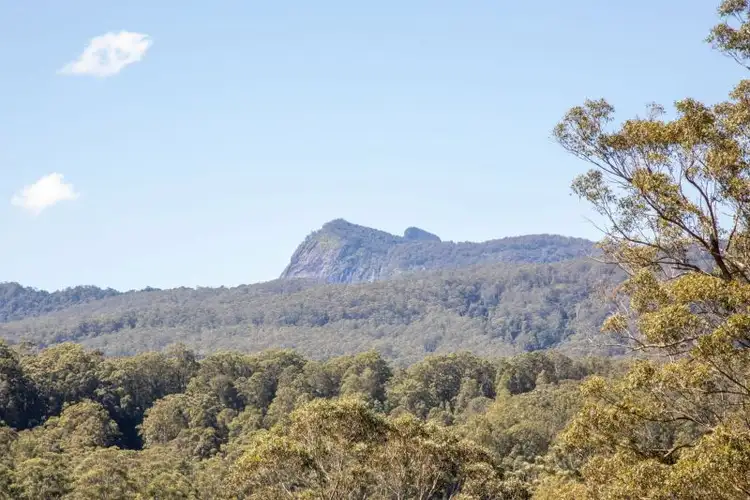 Fourth view of Homely rural property listing, 1283 Byrrill Creek Road, Brays Creek NSW 2484