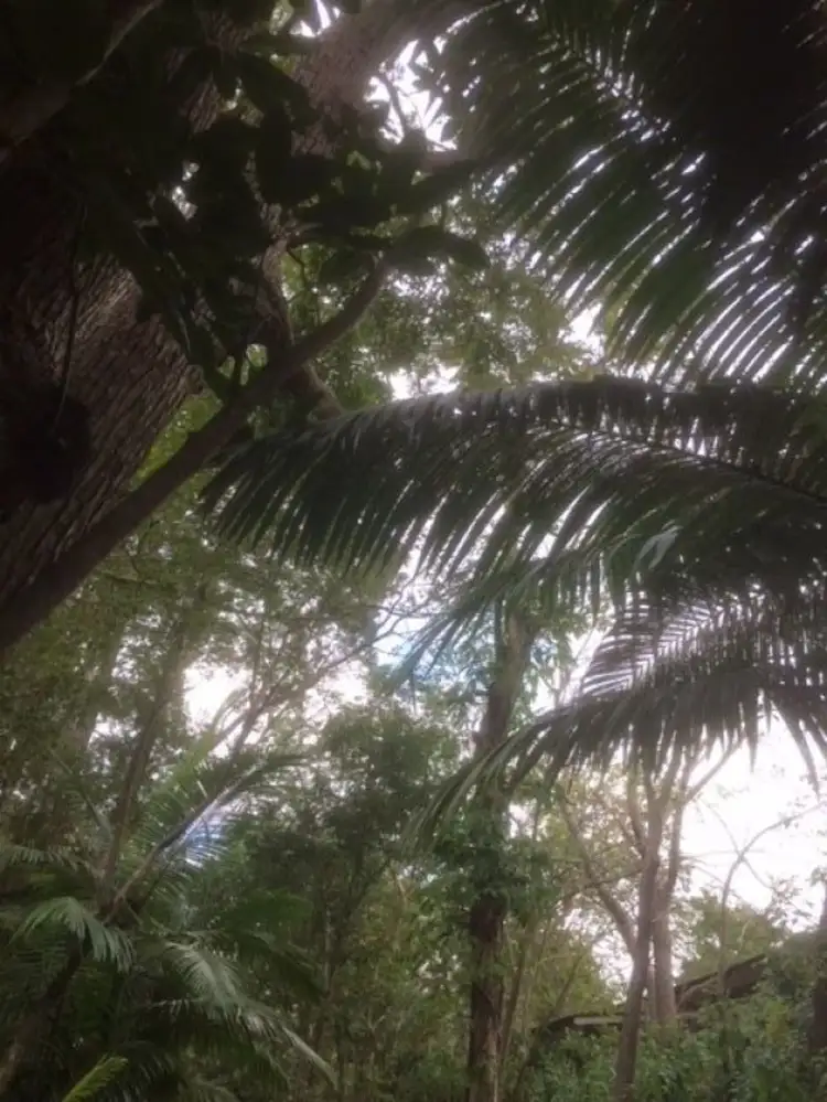 Third view of Homely land listing, 11A Hocking Street, Nambour QLD 4560