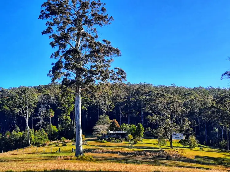 Lot 4 Bachelor Forest Road, Wootton NSW 2423