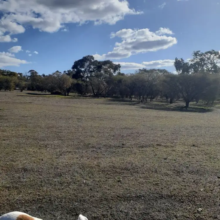 Fifth view of Homely rural property listing, 9994 Coalfields Highway, Darkan WA 6392