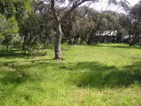 Main view of Homely land listing, 5 Nancy Street, Aireys Inlet VIC 3231