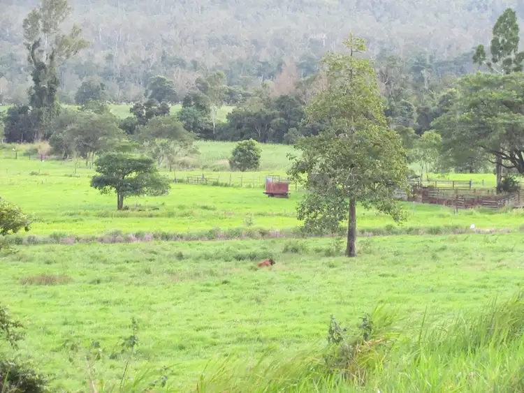 Sixth view of Homely rural property listing, 5204 Abergowrie Rd, Abergowrie QLD 4850