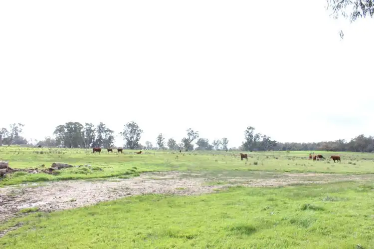 Second view of Homely land listing, 21 Graham Avenue, Gumly Gumly NSW 2652
