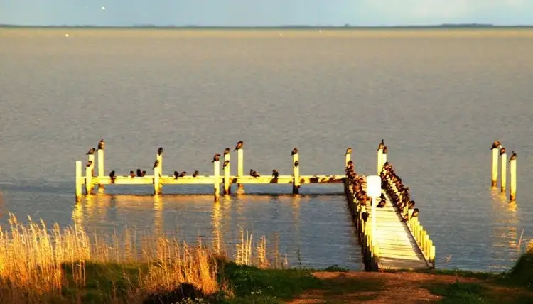 Fourth view of Homely house listing, 9 Lake Road, Milang SA 5256