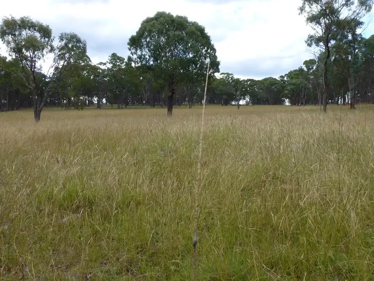 Sixth view of Homely rural property listing, Westleigh 1000 Bullock Mountain Road, Glen Innes NSW 2370